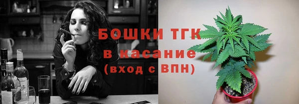 крисы Майский