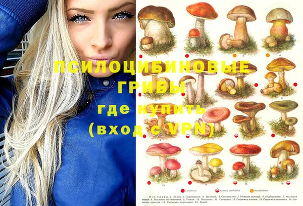 apvp Липки