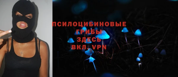 apvp Липки