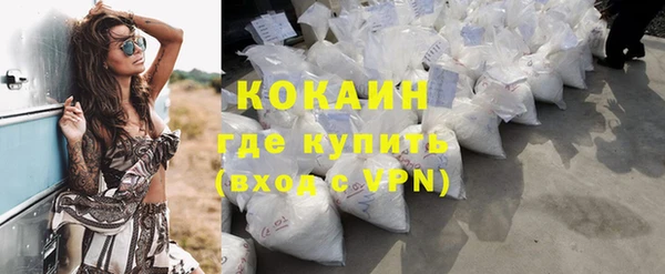 крисы Майский