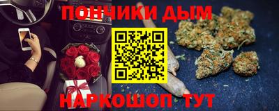 гашик Донской