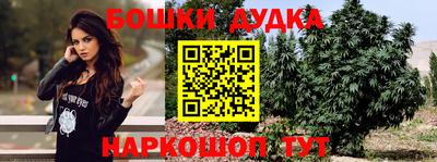 гашик Донской