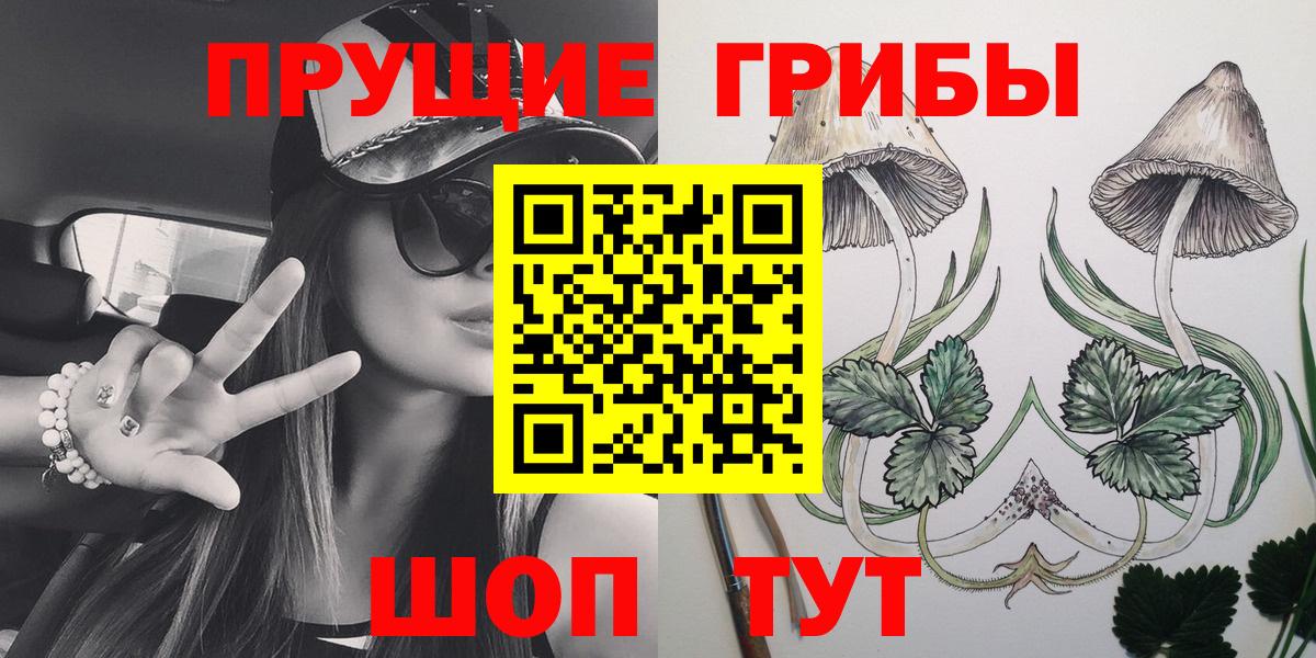 Галлюциногенные грибы GOLDEN TEACHER  Вход с VPN  Фрязино 